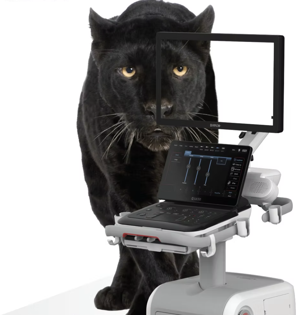 Ultrasonography